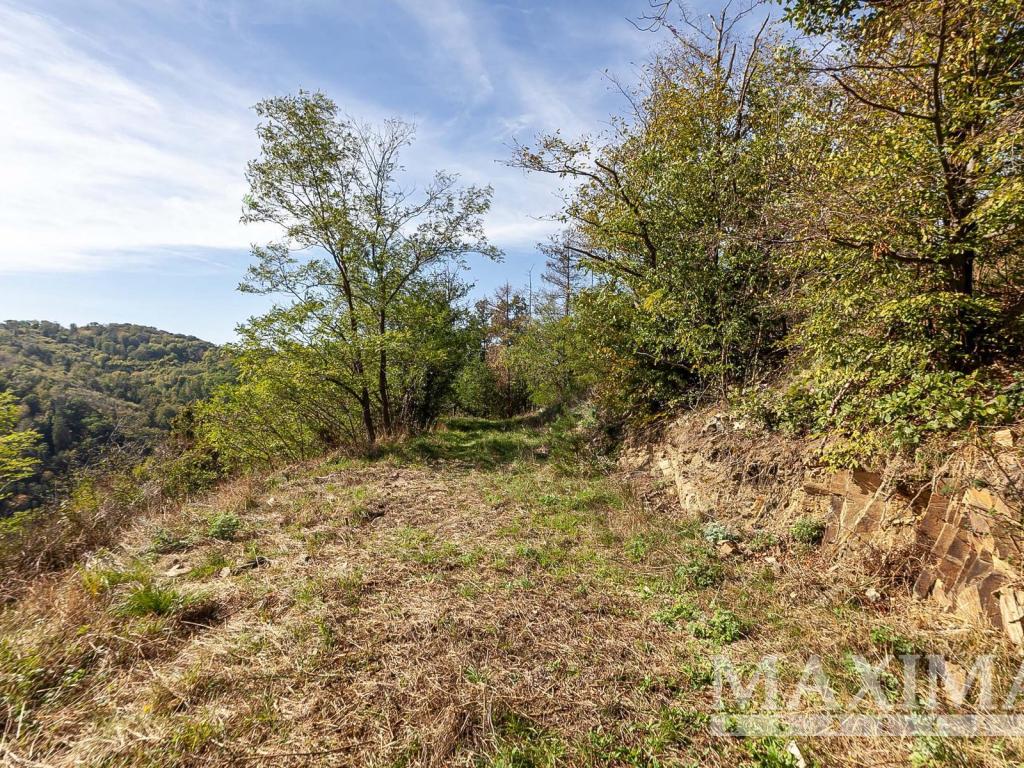 Prodej pozemku 7462 m2, Solenice – náhled fotky 11