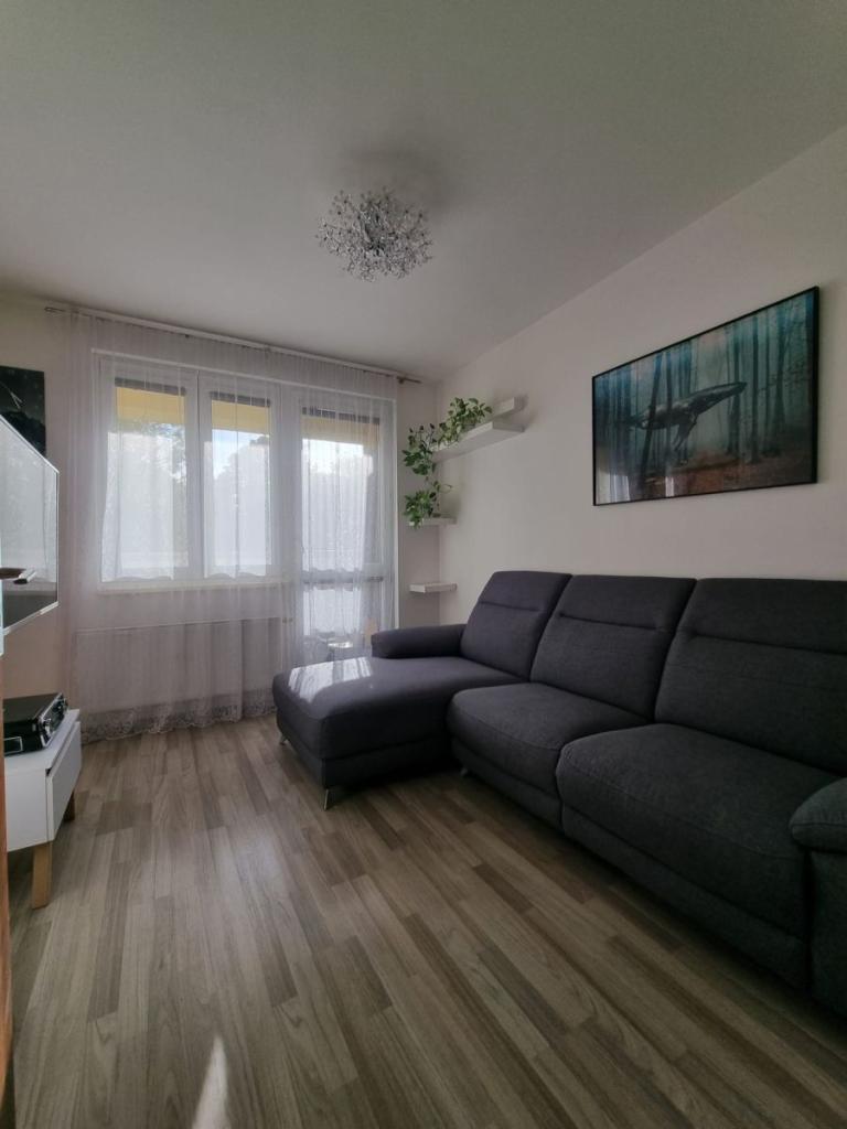 2+kk Apartment in Klecany, Drasty – pohled 6