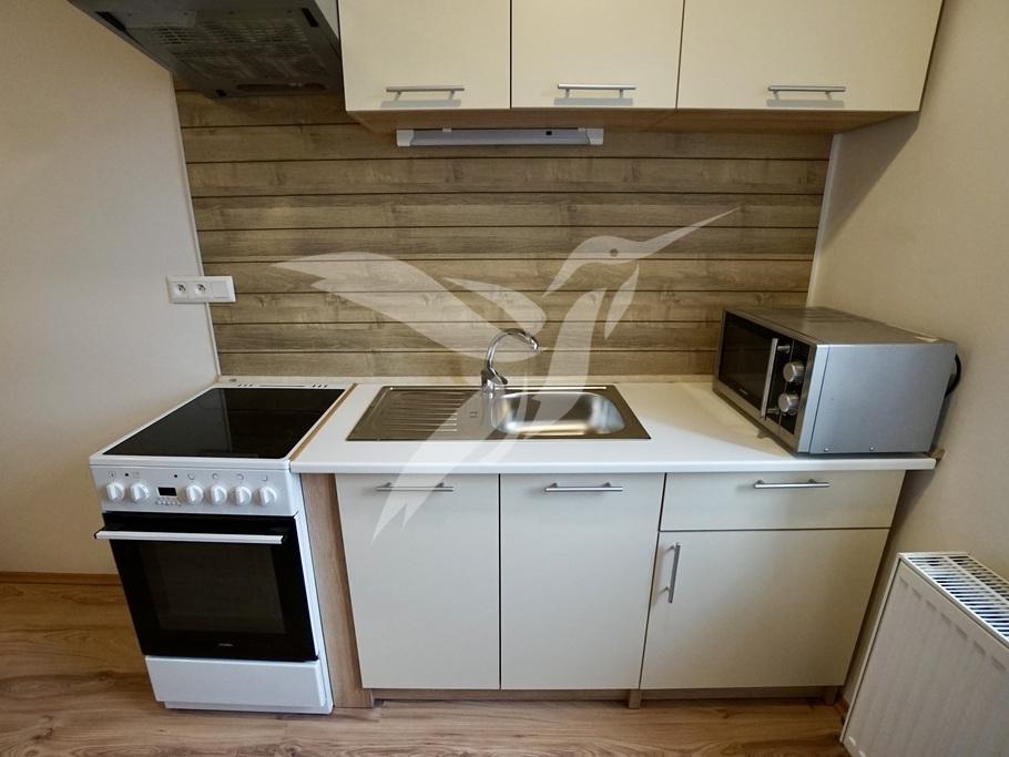 Pronájem bytu 1+1 38 m2