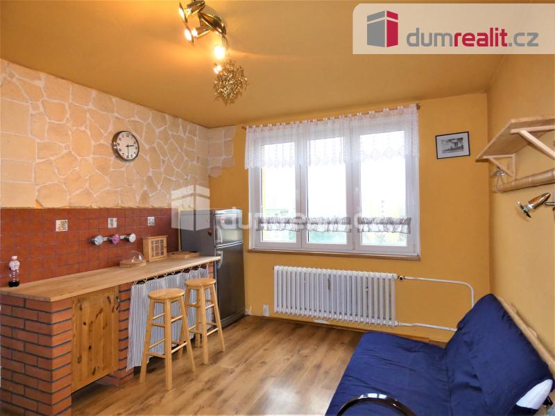 Pronájem bytu 1+1 42 m2