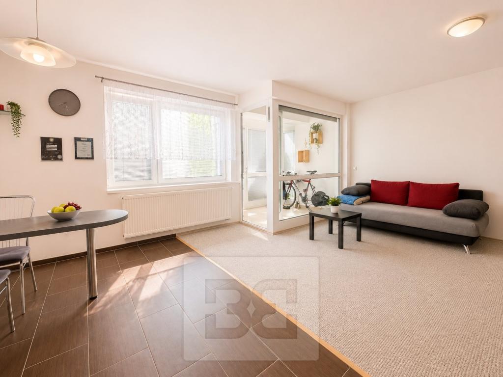 Pronájem bytu 1+kk 40 m2