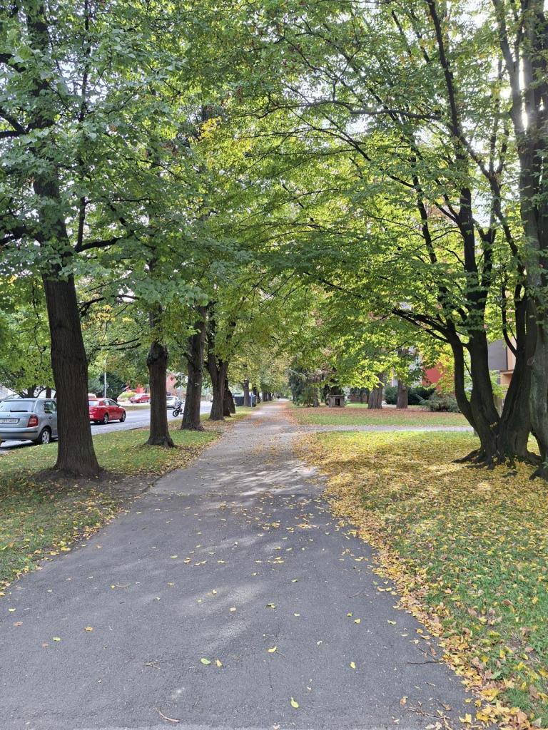 Prodej bytu 2+1 54 m2, Kopřivnice – náhled fotky 13