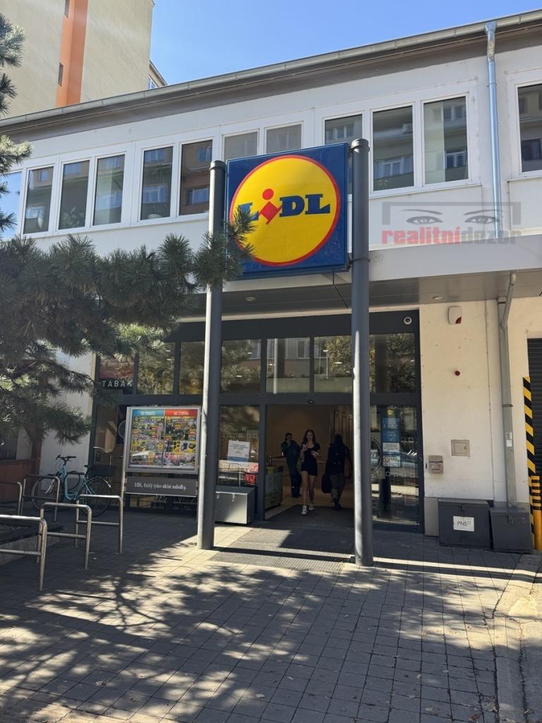 Pronájem bytu 1+1 49 m2, Brno – náhled fotky 10