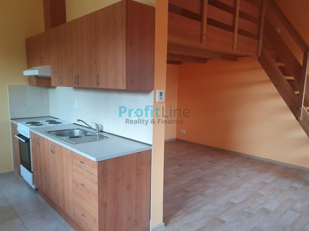 Pronajem bytu 1+kk 46 m2