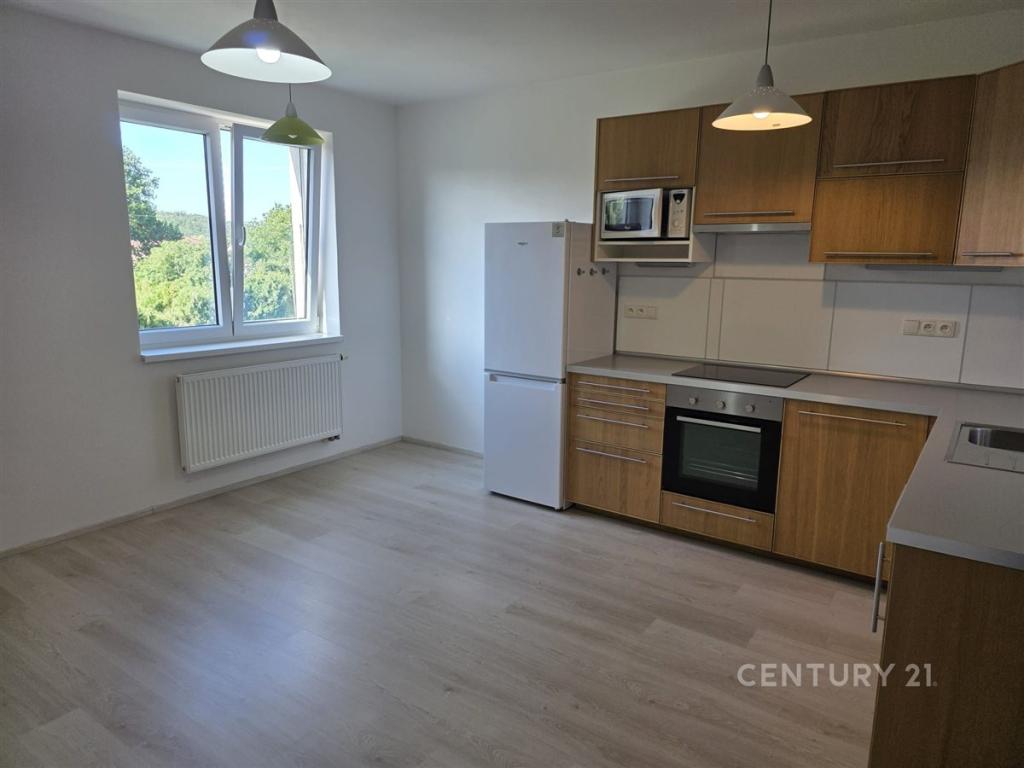 Pronájem bytu 2+kk 59 m2
