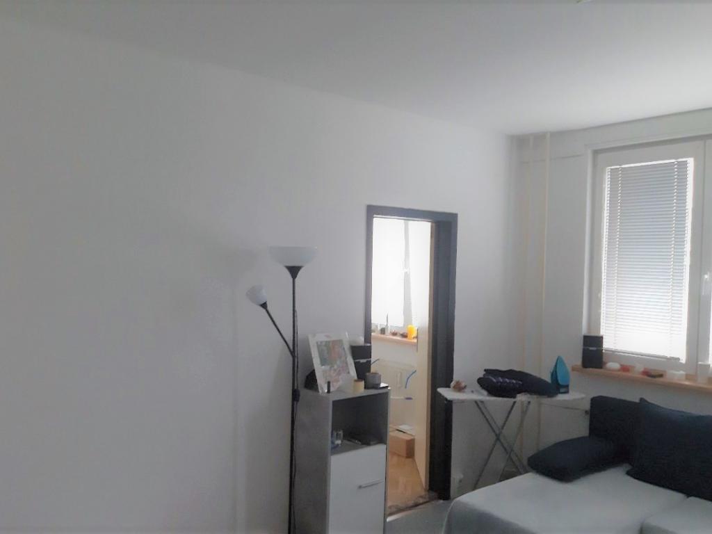 Pronajem bytu 2+1 45 m2