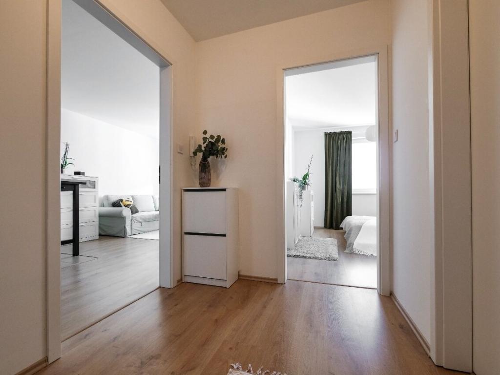 Pronájem bytu 1+1 46 m2