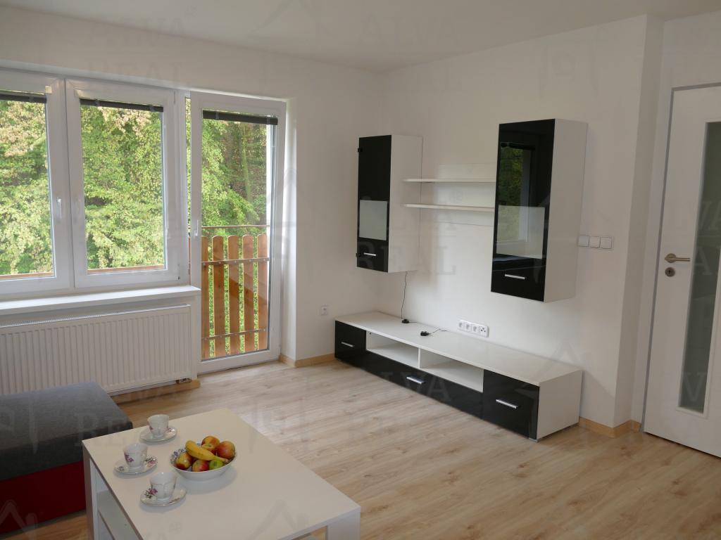 Pronájem bytu 2+kk 39 m2