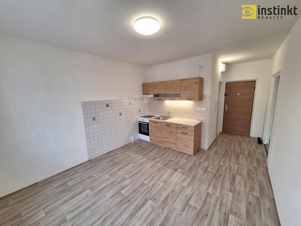 Pronájem bytu 1+1 42 m2