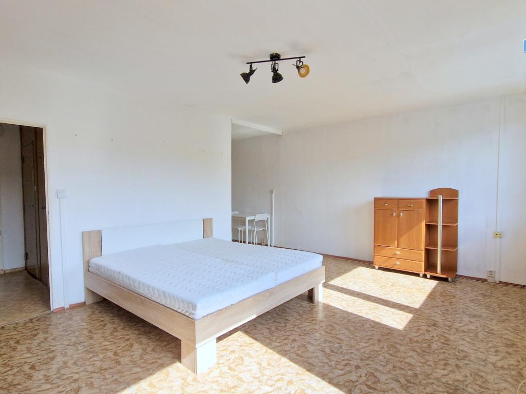 Pronájem bytu 1+kk 38 m2
