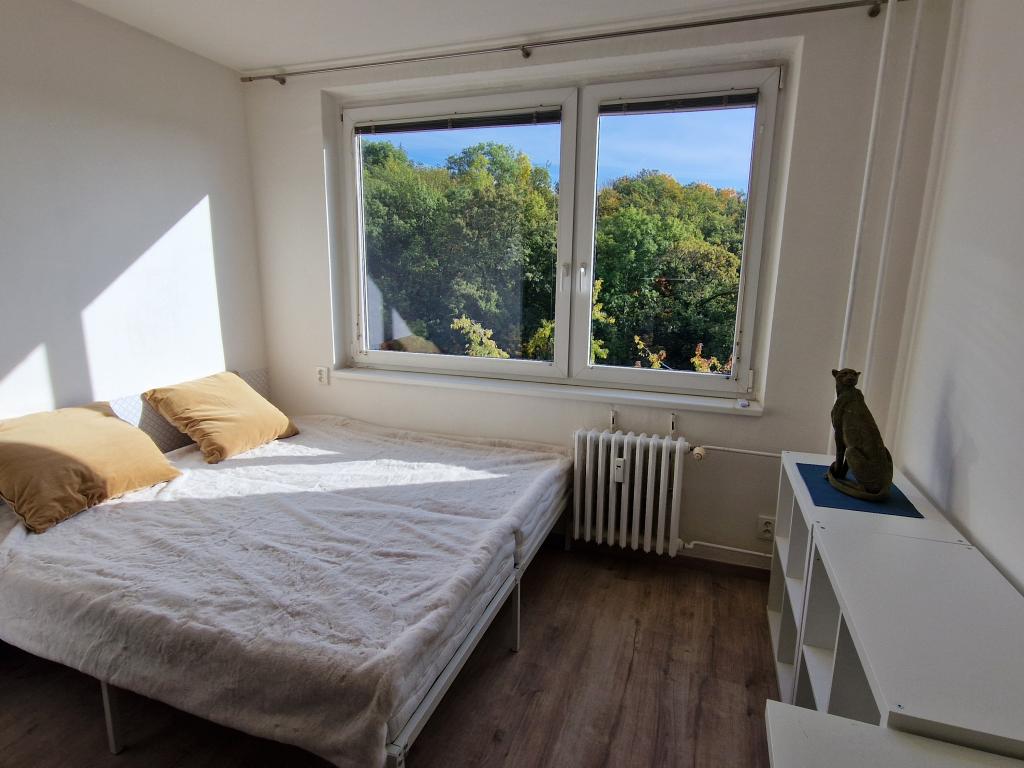 Pronájem bytu 1+kk 30 m2