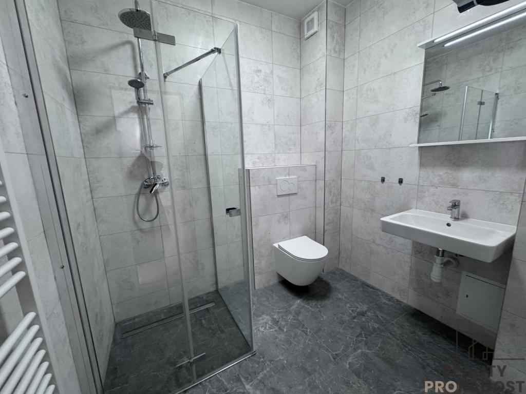 Pronájem bytu 1+kk 50 m2
