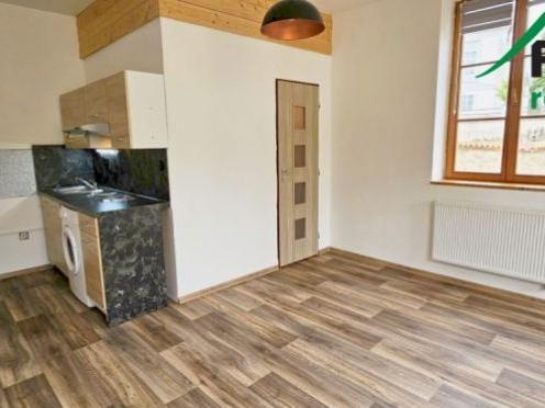 Pronájem bytu 1+kk 24 m2