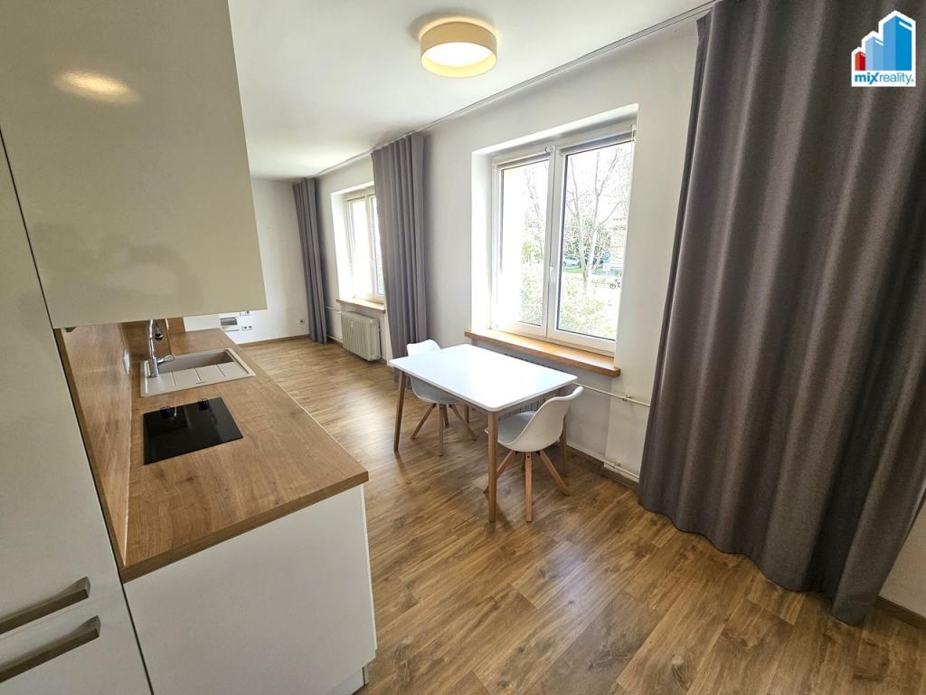 Pronájem bytu 1+kk 54 m2