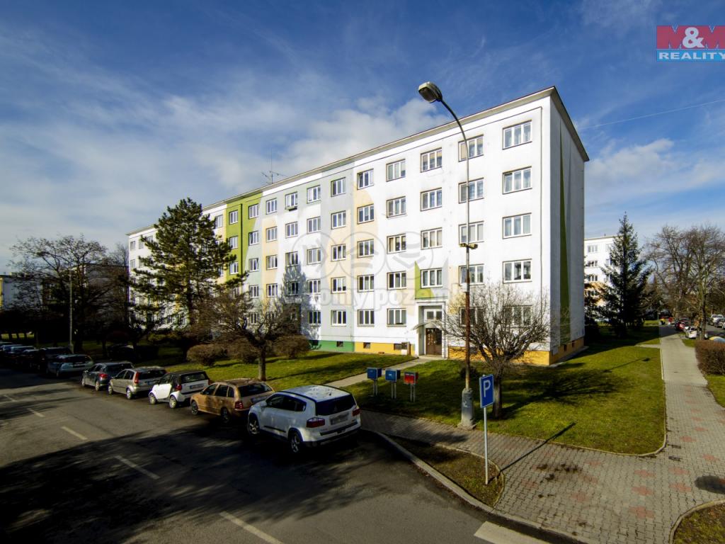 Pronajem bytu 2+1 50 m2