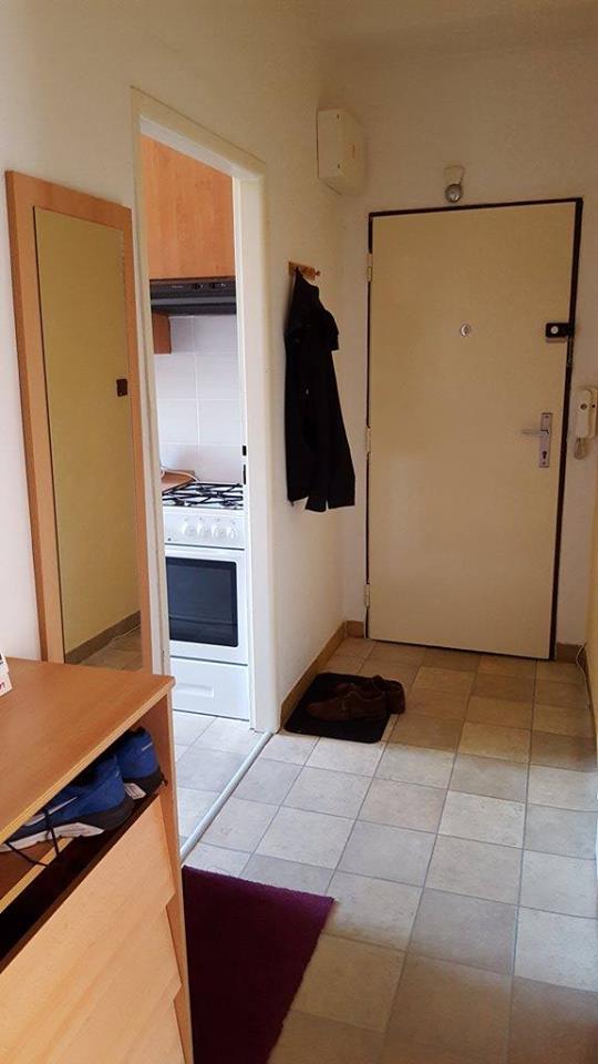 Pronajem bytu 2+1 54 m2