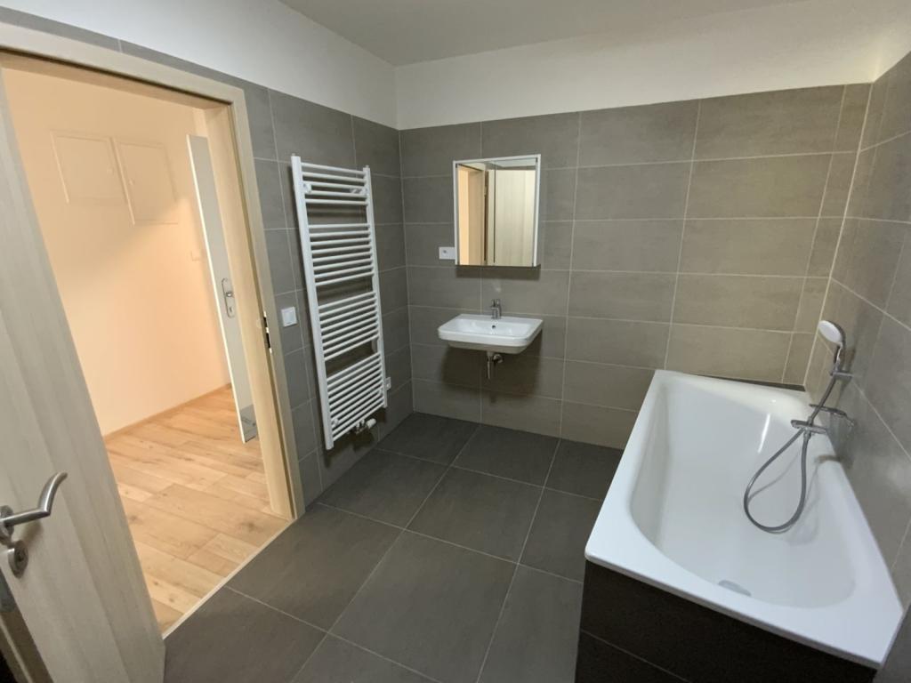 Pronájem bytu 1+kk 65 m2