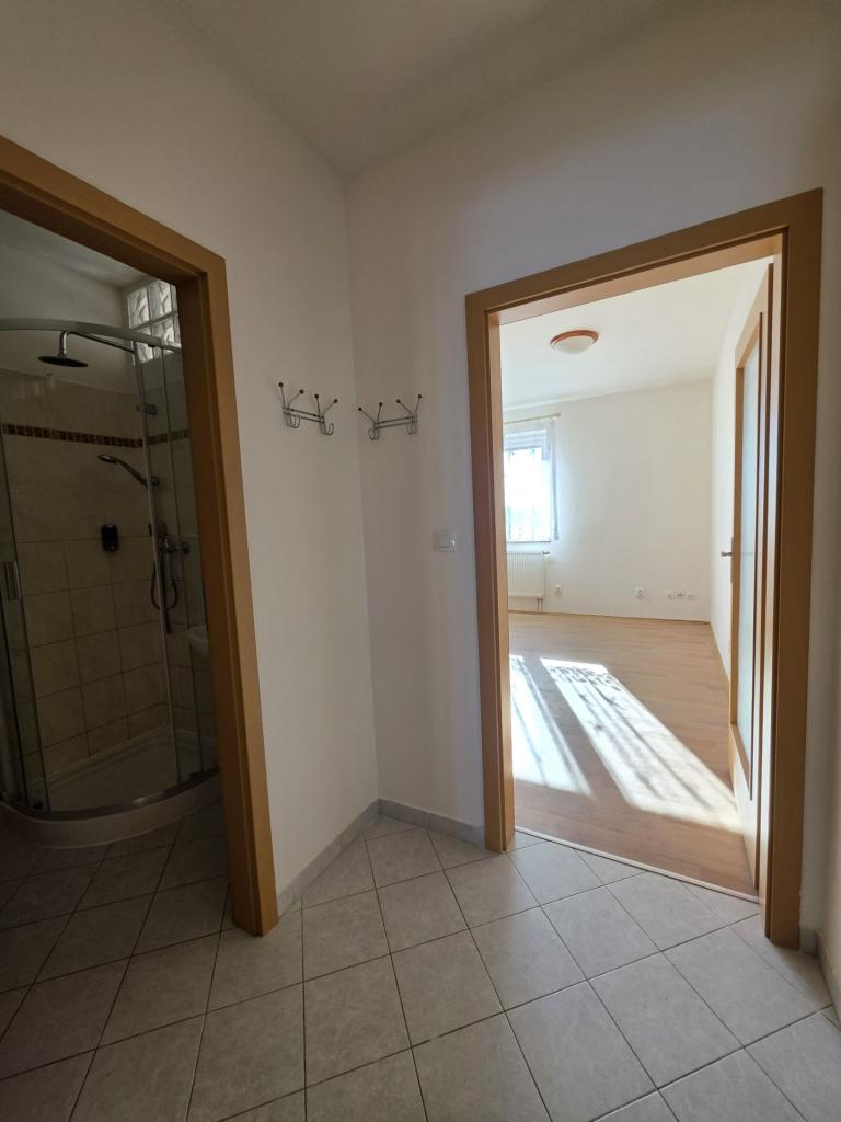 Pronájem bytu 2+kk 42 m2, Plzeň – náhled fotky 7