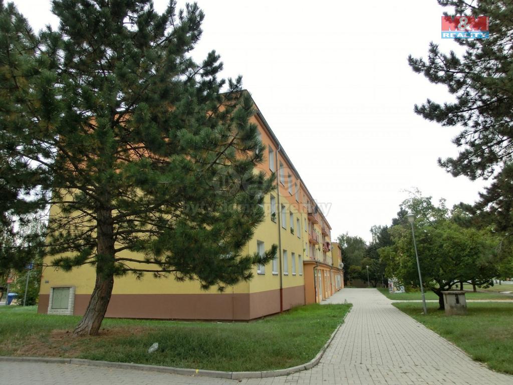 Pronajem bytu 2+1 40 m2