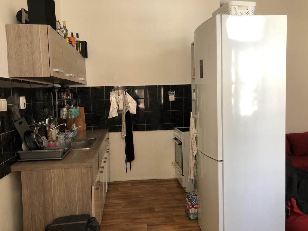 Pronajem bytu 1+1 50 m2