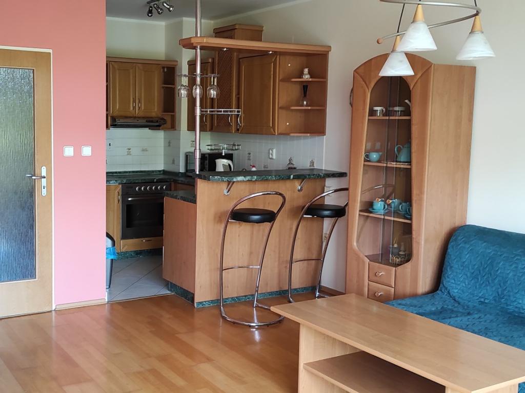 Pronajem bytu 1+kk 44 m2