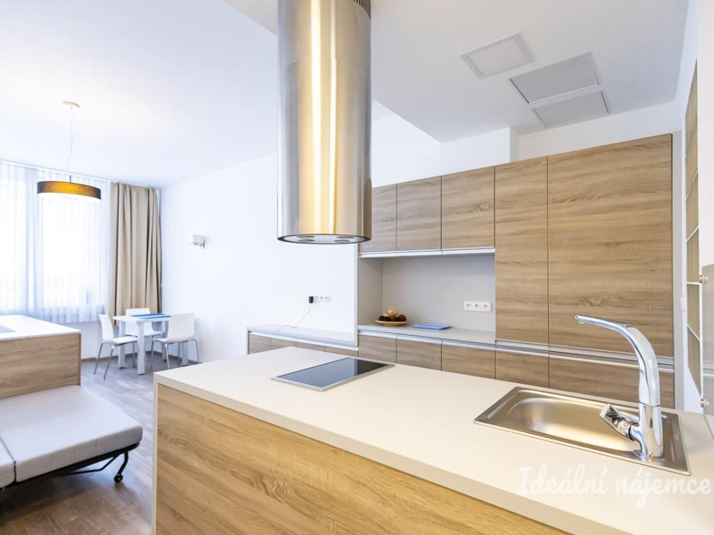 Pronájem bytu 1+kk 38 m2