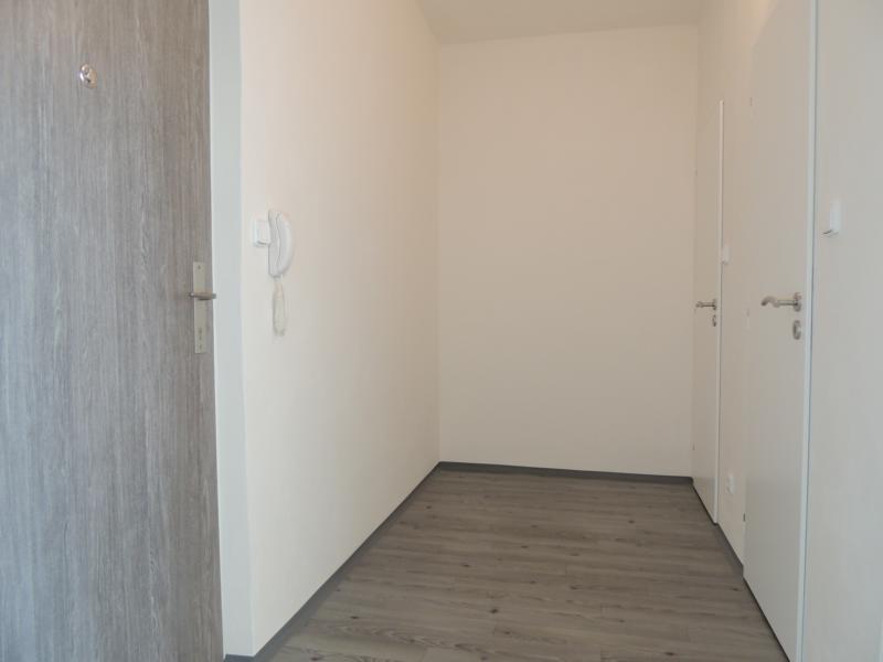 Pronájem bytu 1+1 36 m2