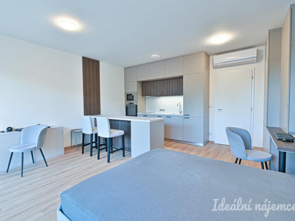 Pronájem bytu 1+kk 39 m2