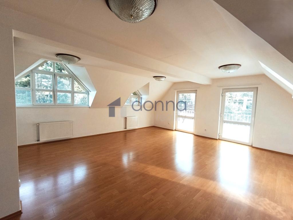 Pronájem domu 251 m2