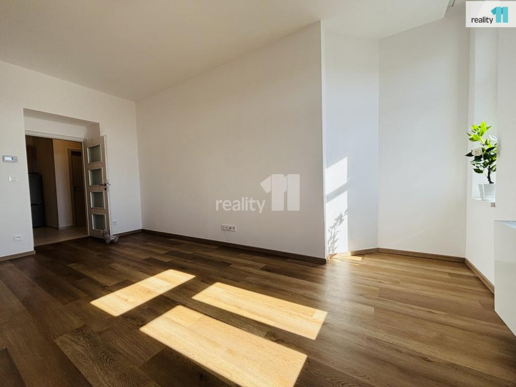 Pronájem bytu 1+1 37 m2