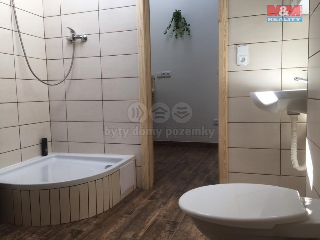 Pronajem bytu dům 319 m2