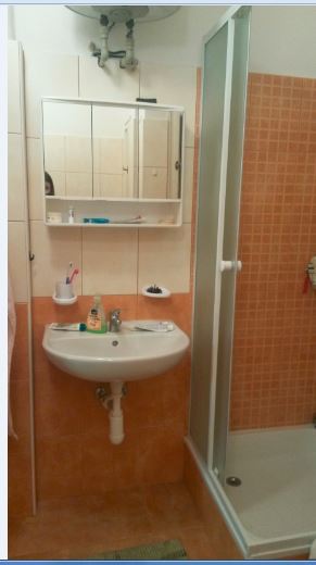 Spolubydleni bytu celý pokoj 50 m2