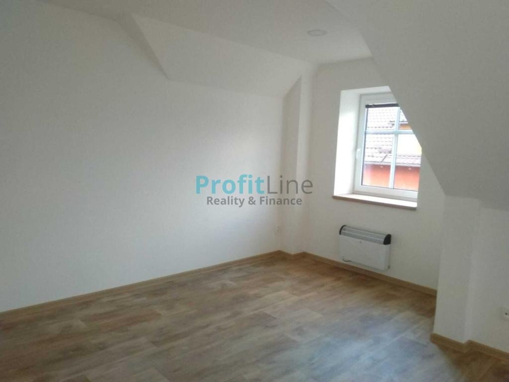 Pronájem bytu 1+kk 53 m2