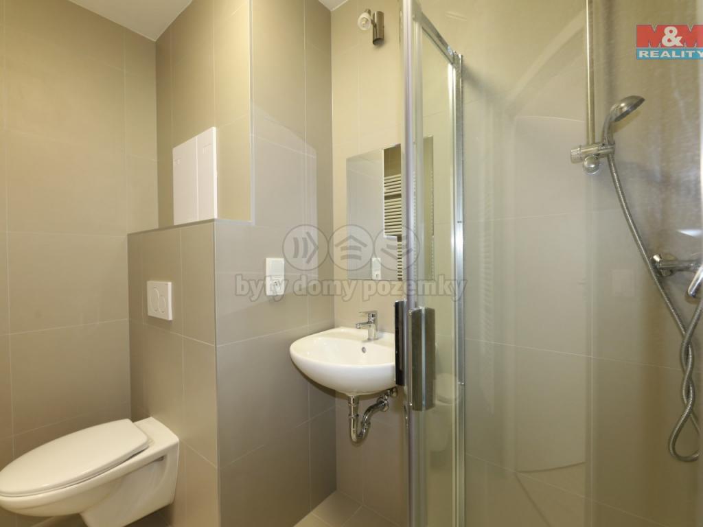 Pronajem bytu 1+kk 33 m2