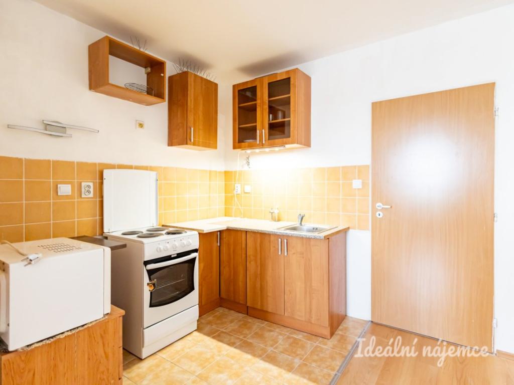 Pronájem bytu 1+kk 47 m2