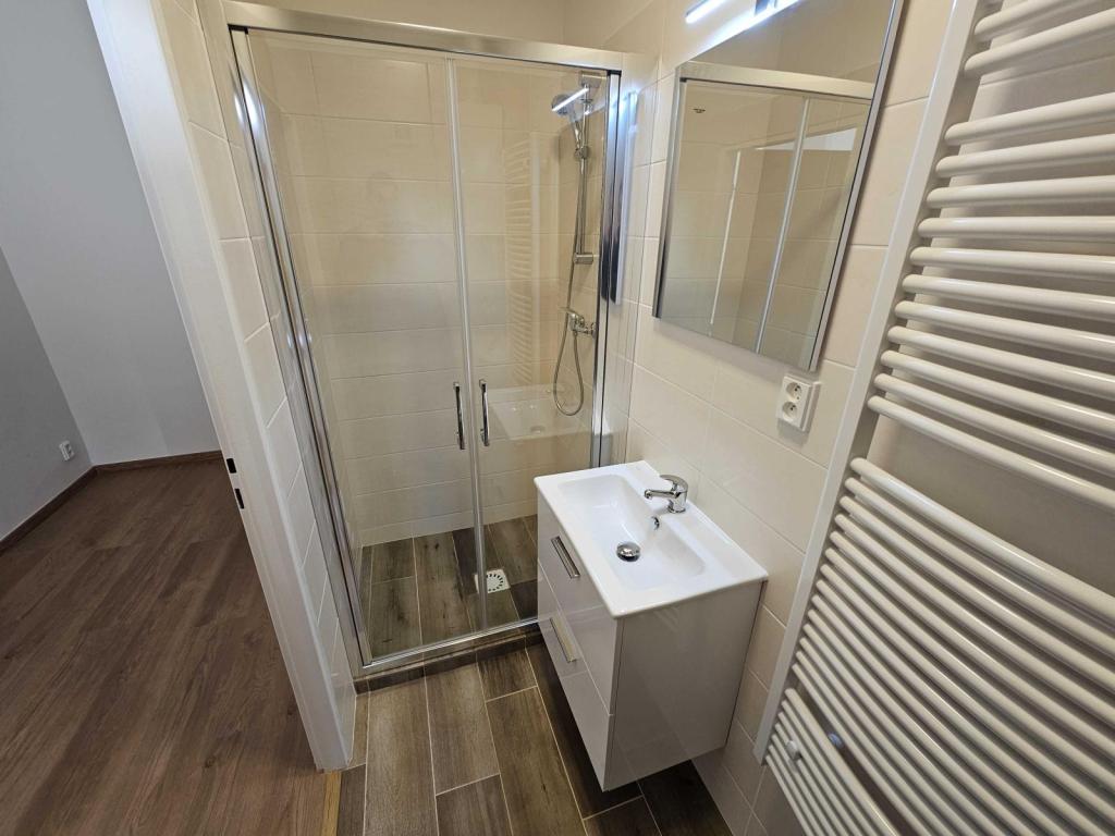 Pronájem bytu 1+1 30 m2