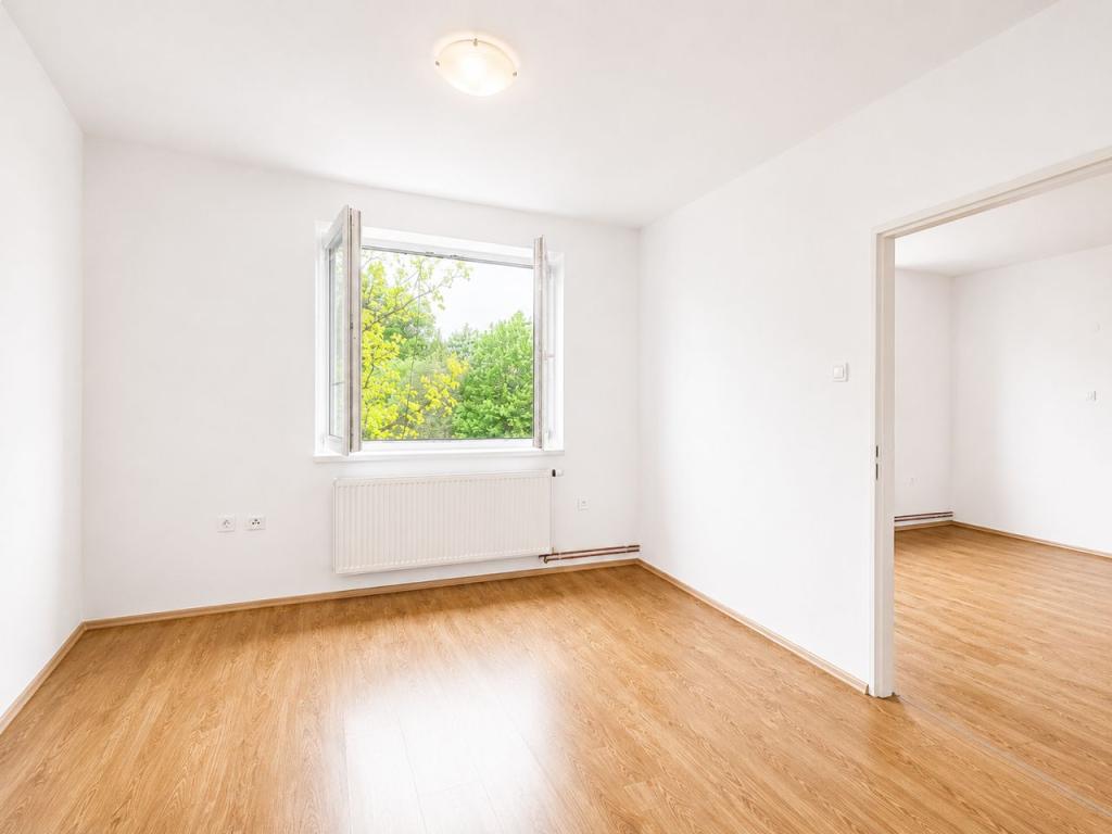 Pronájem bytu 3+1 72 m² - Więcej