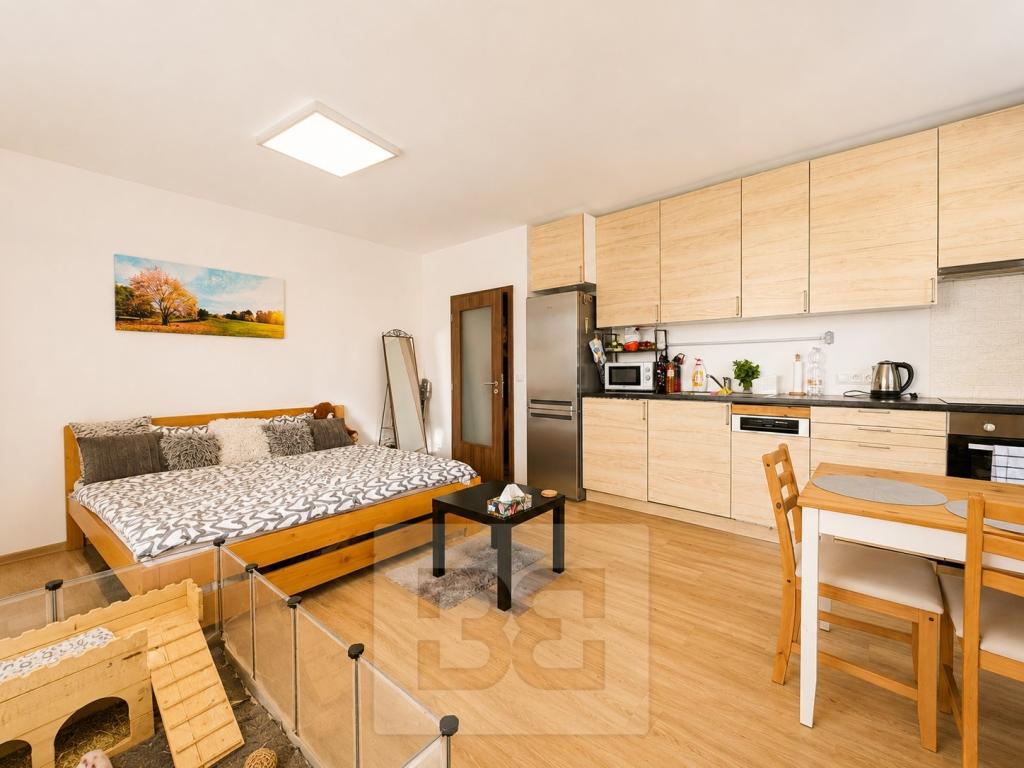 Pronájem bytu 1+kk 31 m2