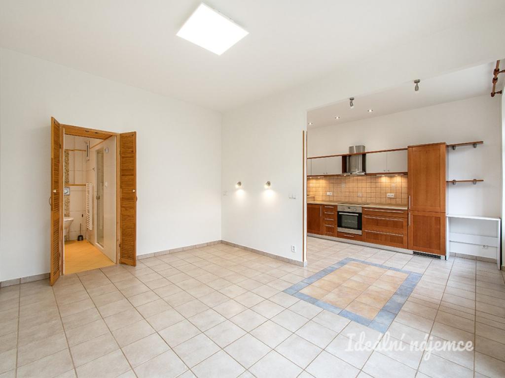 Pronájem bytu 1+1 43 m2