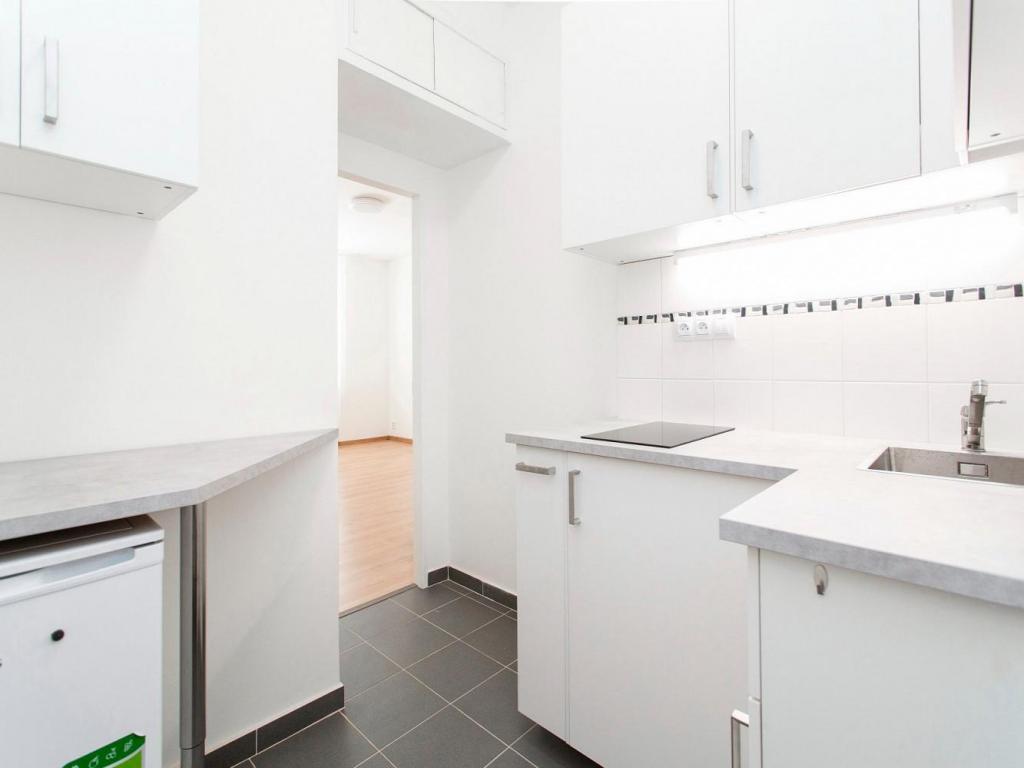 Pronajem bytu 1+1 30 m2