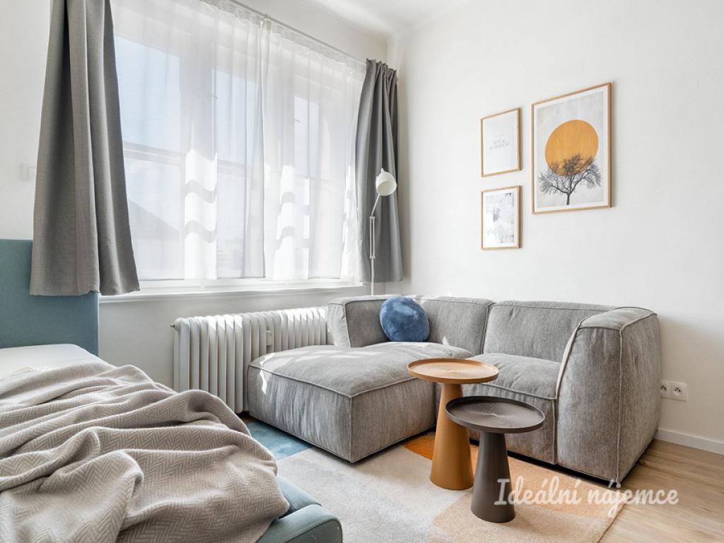 Pronájem bytu 1+kk 28 m2