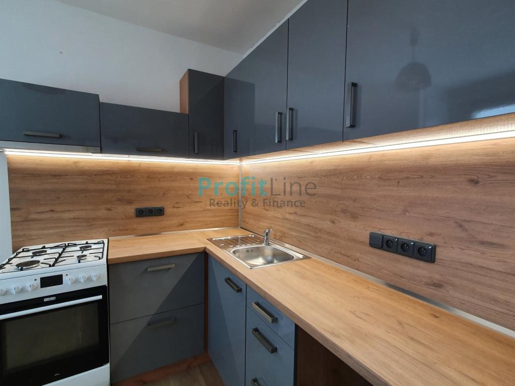 Pronajem bytu 2+1 45 m2