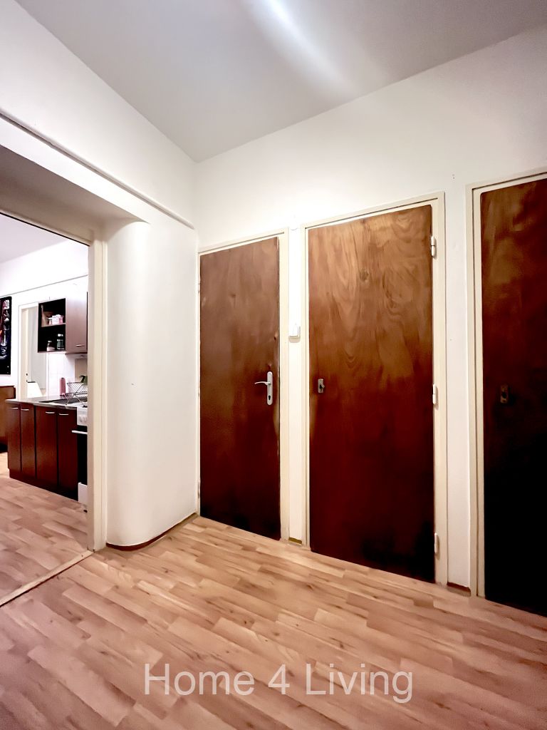 Pronájem bytu 1+1 45 m2