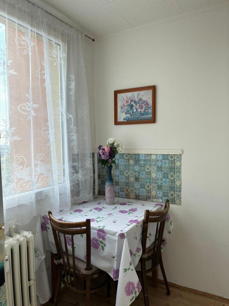 Pronájem bytu 1+1 35 m² – pohled 4