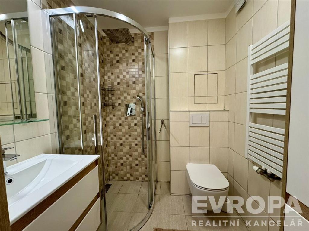 Pronájem bytu 1+1 30 m2, Plzeň – náhled fotky 9