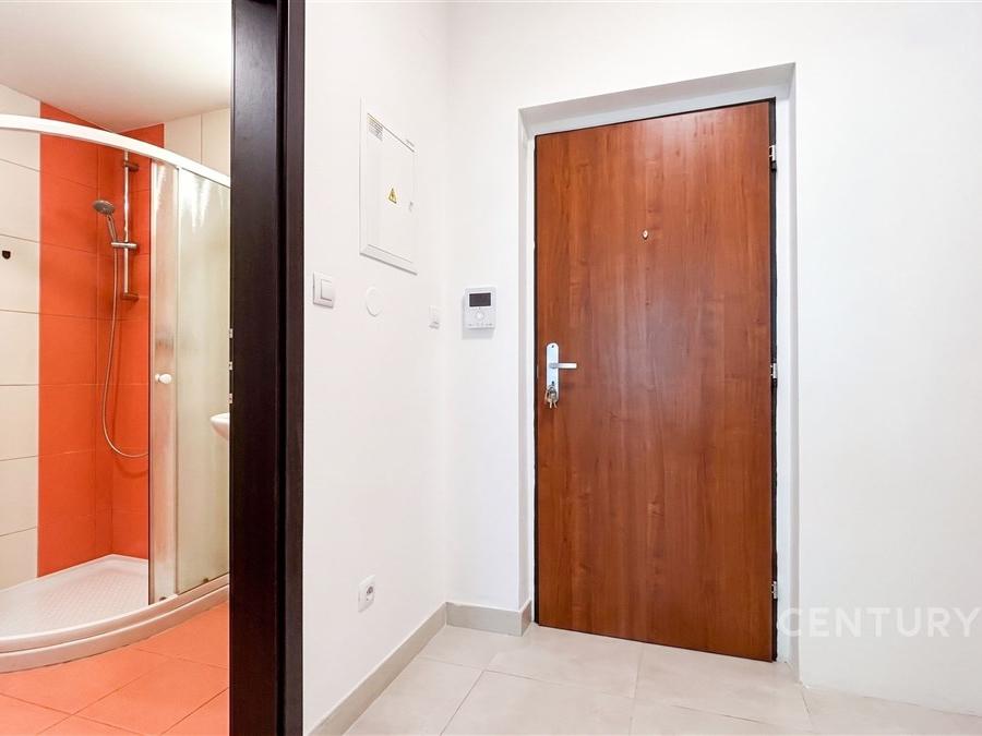 Pronájem bytu 1+kk 44 m2, Benešov – náhled fotky 9