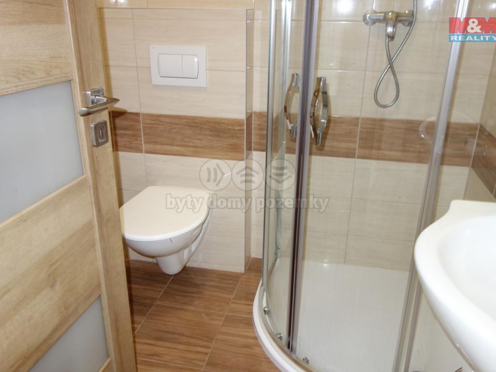 Pronajem bytu 1+1 40 m2