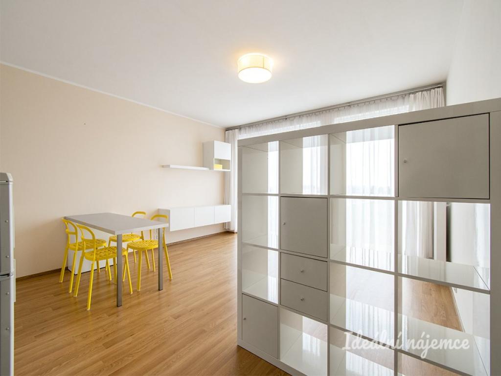 Pronájem bytu 1+kk 43 m2