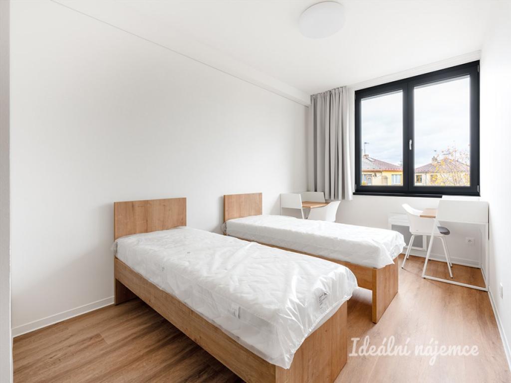 Pronájem bytu 2+kk 55 m2