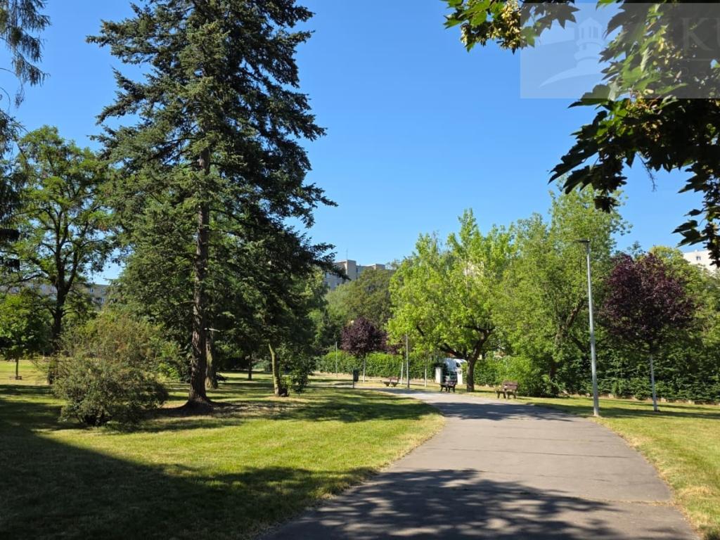 Pronájem bytu 3+kk 58 m2